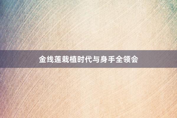 金线莲栽植时代与身手全领会