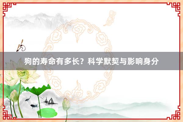 狗的寿命有多长？科学默契与影响身分