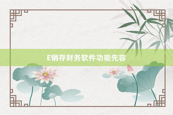 E销存财务软件功能先容