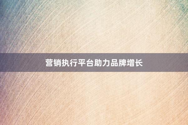 营销执行平台助力品牌增长
